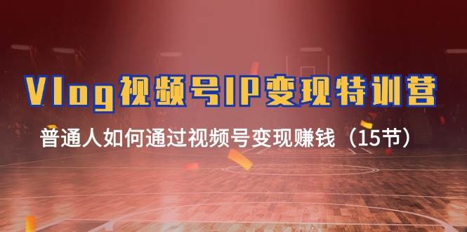 Vlog 视频号IP变现特训营，普通人如何通过视频号变现赚钱（15节） - 智识科技网-智识科技网