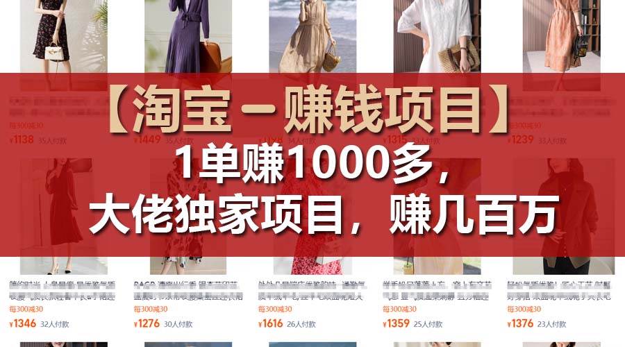 图片[1]-【淘宝赚钱项目】1单可赚1000多，大佬独家项目，年赚几百万 - 智识科技网-智识科技网