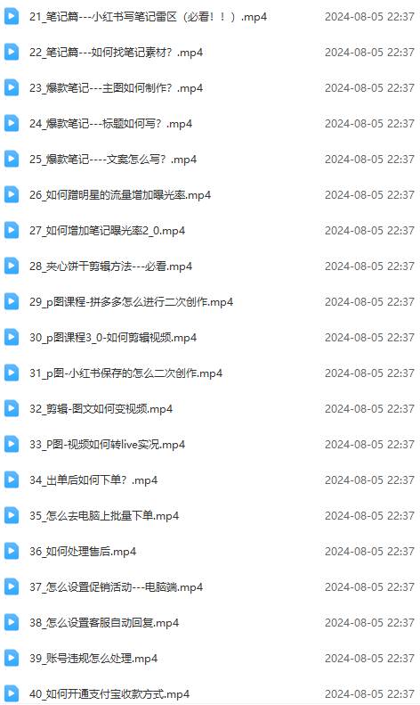 图片[3]-2024小红书电商实战课：全体系打造 全方位梳理 小红书电商逻辑体系 (42节) - 智识科技网-智识科技网