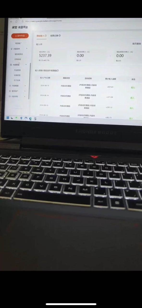 一分钟一条视频，无脑搬运，小白轻松月入6万+2024淘宝暴力新玩法，可批量 - 智识科技网-智识科技网
