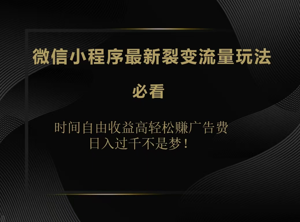 微信小程序最新裂变流量玩法，时间自由收益高轻松赚广告费，日入200-500+ - 智识科技网-智识科技网
