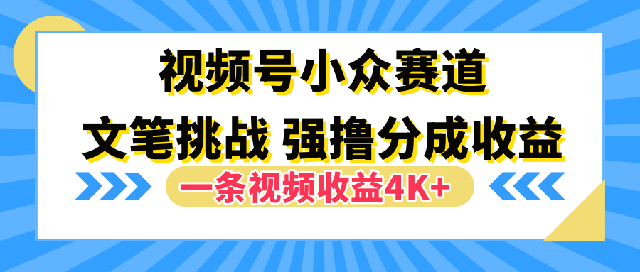 视频号小众赛道，文笔挑战，一条视频收益4K+ - 智识科技网-智识科技网