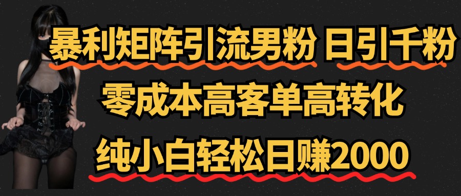 暴利矩阵引流男粉（日引千粉），零成本高客单高转化，纯小白轻松日赚2000+ - 智识科技网-智识科技网