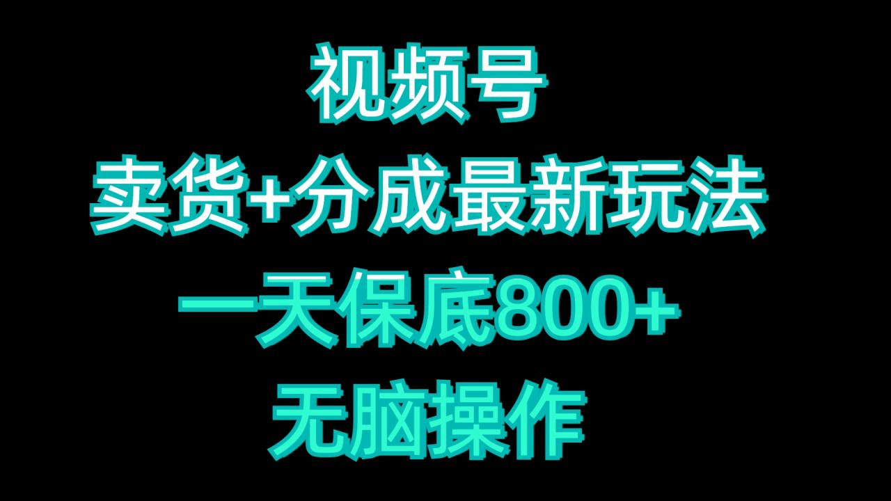 视频号卖货+分成最新玩法，一天保底800+，无脑操作 - 智识科技网-智识科技网