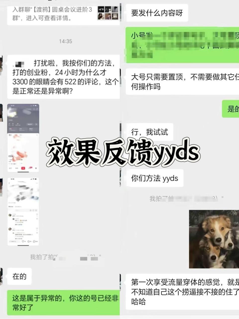 小红书，视频号，抖音黑科技引流玩法，全域平台截流自热打法 日引500+精准粉 - 智识科技网-智识科技网