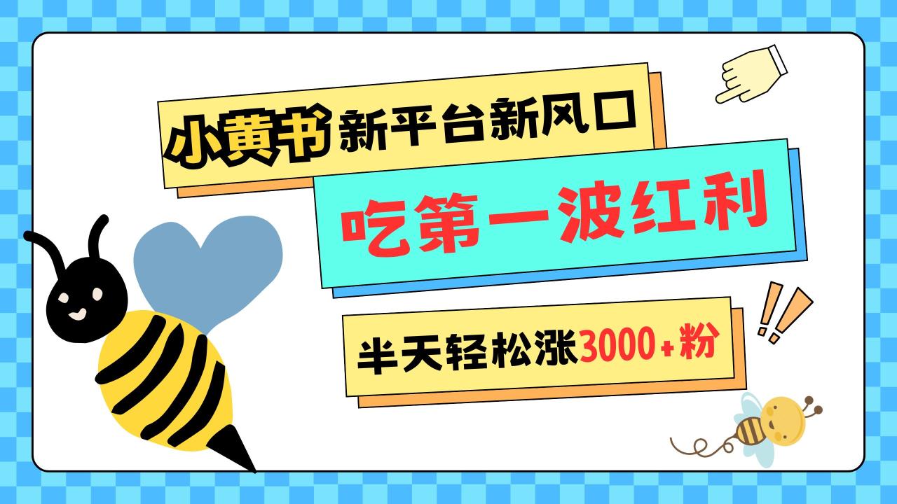 网易版小红书重磅来袭，新平台新风口，管理宽松，半天轻松涨3000粉，第一波红利等你来吃 - 智识科技网-智识科技网