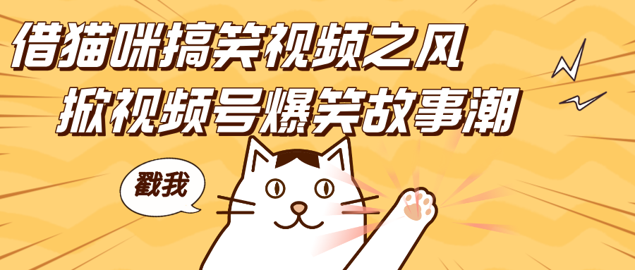 借猫咪搞笑视频之风，掀视频号爆笑故事潮，轻松日赚四位数，开启无门槛赚钱新体验！ - 智识科技网-智识科技网
