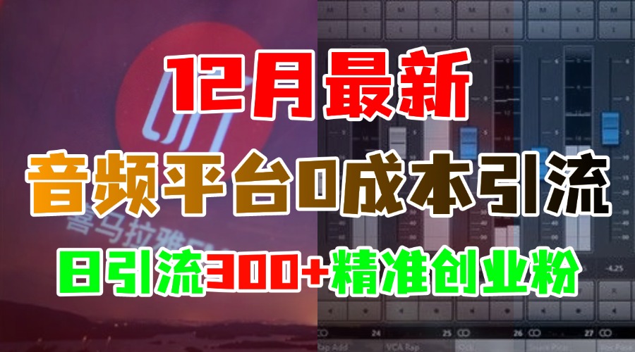 12月最新：音频平台0成本引流，日引300+精准创业粉 - 智识科技网-智识科技网