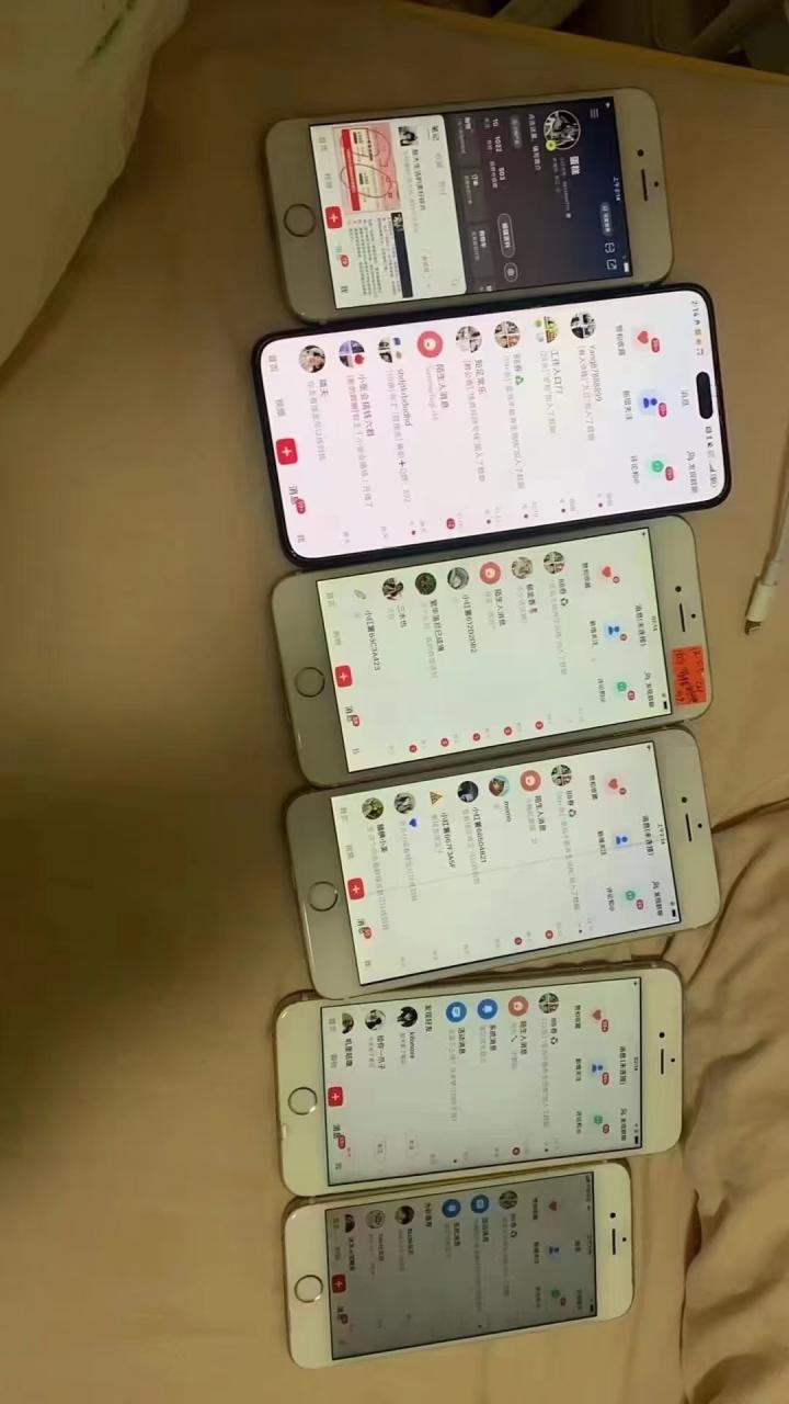 小红书，抖音，蝴蝶号三大平台全自动精准引流获客，每天吸引目标客户99+ - 智识科技网-智识科技网