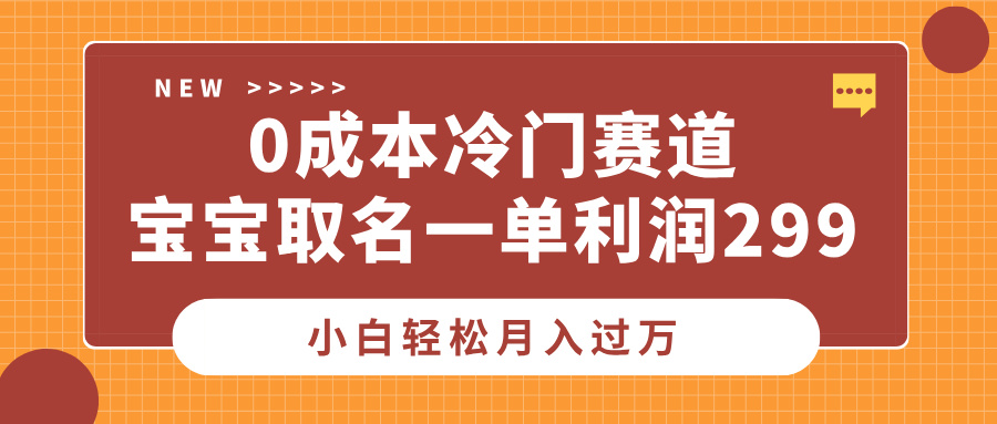 0成本冷门赛道，宝宝取名一单利润299，小白轻松月入过万 - 智识科技网-智识科技网