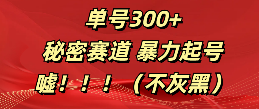 单号300+ 秘密赛道 暴力起号 （不灰黑） - 智识科技网-智识科技网