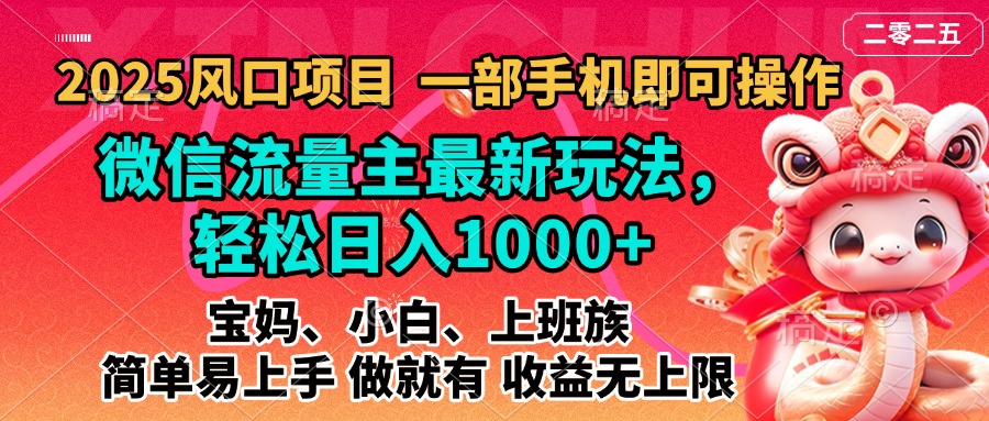 2025蓝海风口项目，微信流量主最新玩法，轻松日入1000+，简单易上手，做就有 收益无上限 - 智识科技网-智识科技网