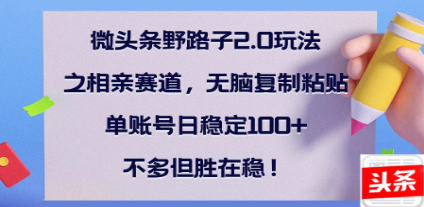 全网首发微头条野路子2.0玩法之相亲赛道，无脑搬砖复制粘贴，单账号日稳定300+保姆级教程 - 智识科技网-智识科技网