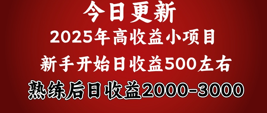 2025开年好项目，新手日收益500+ 熟练掌握后，日收益平均2000多 - 智识科技网-智识科技网