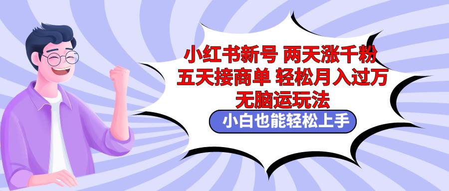 小红书新号两天涨千粉五天接商单轻松月入过万 无脑搬运玩法 小白也能轻... - 智识科技网-智识科技网