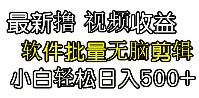 发视频撸收益，软件无脑批量剪辑，第一天发第二天就有钱 - 智识科技网-智识科技网