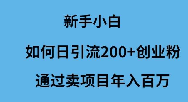 新手小白如何日引流200+创业粉通过卖项目年入百万 - 智识科技网-智识科技网