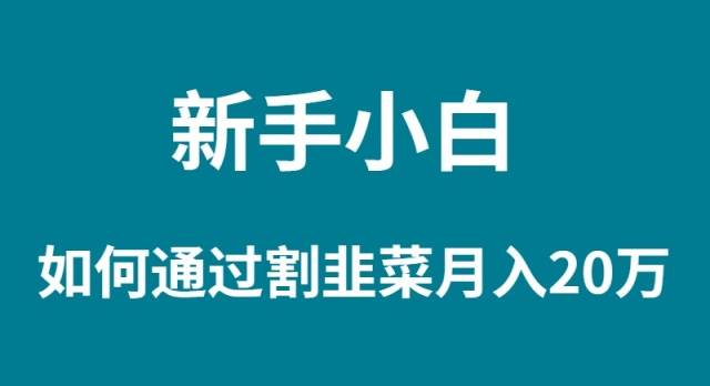 新手小白如何通过割韭菜月入 20W - 智识科技网-智识科技网