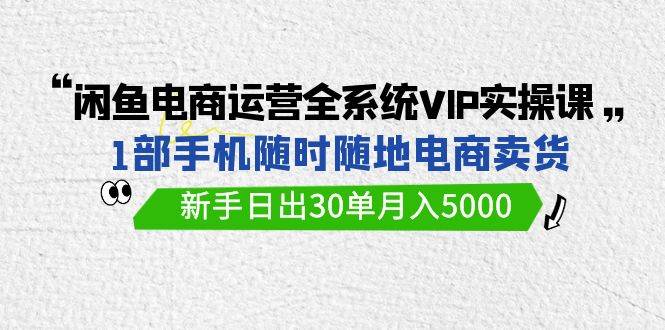 闲鱼电商运营全系统VIP实战课，1部手机随时随地卖货，新手日出30单月入5000 - 智识科技网-智识科技网