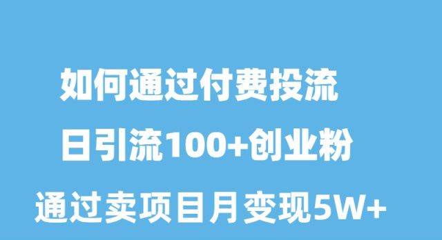 如何通过付费投流日引流100+创业粉月变现5W+ - 智识科技网-智识科技网