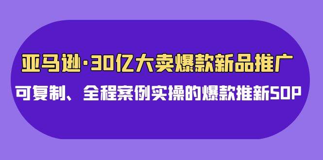 亚马逊30亿·大卖爆款新品推广，可复制、全程案例实操的爆款推新SOP - 智识科技网-智识科技网