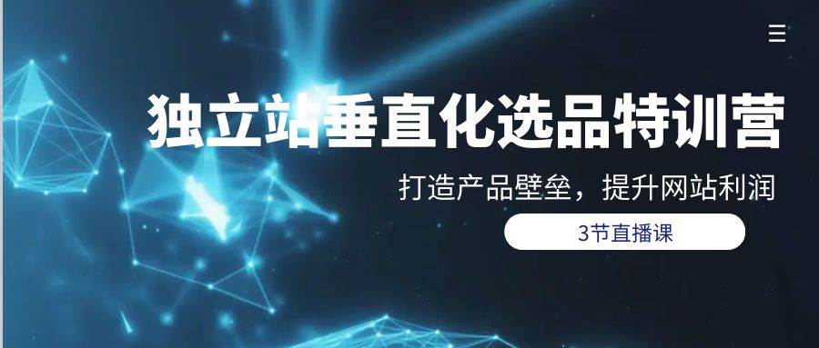 独立站-垂直化选品训练营，打造产品壁垒，提升网站利润（3节直播课） - 智识科技网-智识科技网