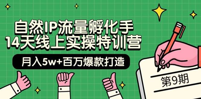 自然IP流量孵化手 14天线上实操特训营【第9期】月入5w+百万爆款打造 (74节) - 智识科技网-智识科技网