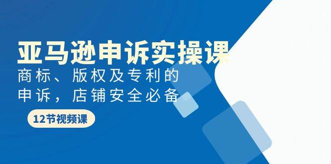 亚马逊-申诉实战课，商标、版权及专利的申诉，店铺安全必备 - 智识科技网-智识科技网