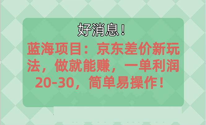 越早知道越能赚到钱的蓝海项目：京东大平台操作，一单利润20-30，简单... - 智识科技网-智识科技网