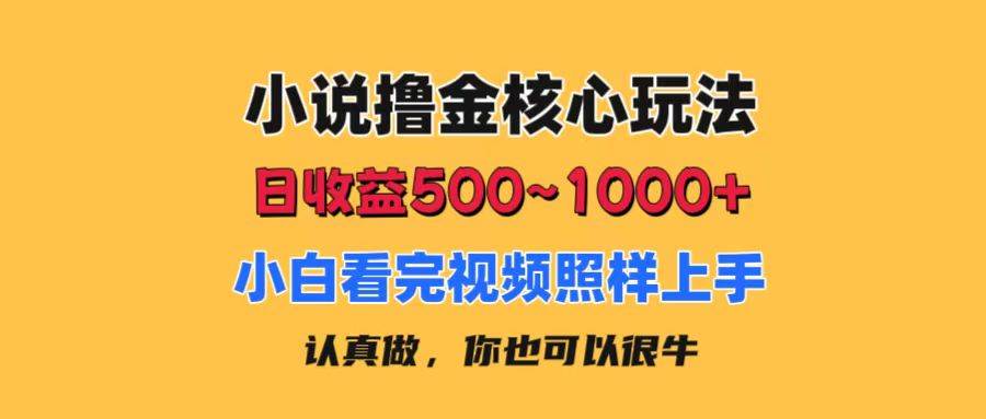 小说撸金核心玩法，日收益500-1000+，小白看完照样上手，0成本有手就行 - 智识科技网-智识科技网