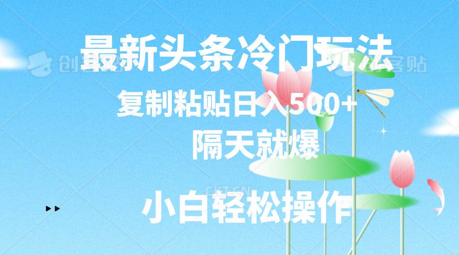 最新头条冷门玩法，隔天就爆，复制粘贴日入500+ - 智识科技网-智识科技网